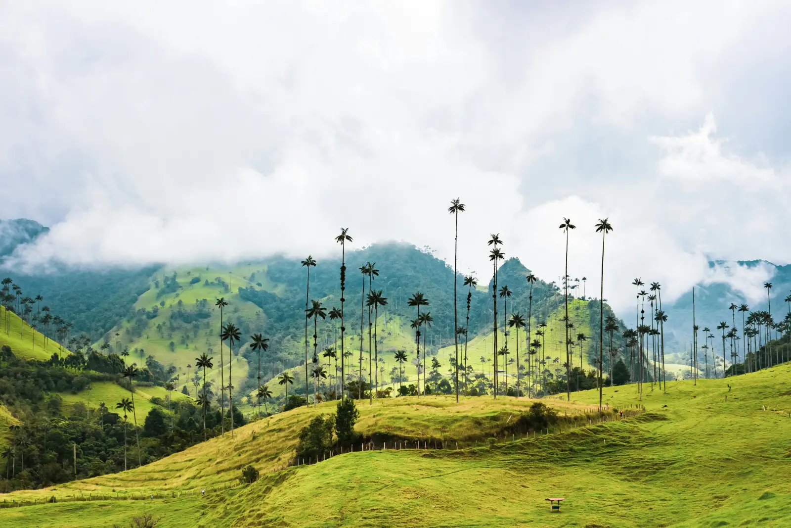 Quindío