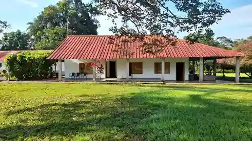 Finca Alquiler en Casanare