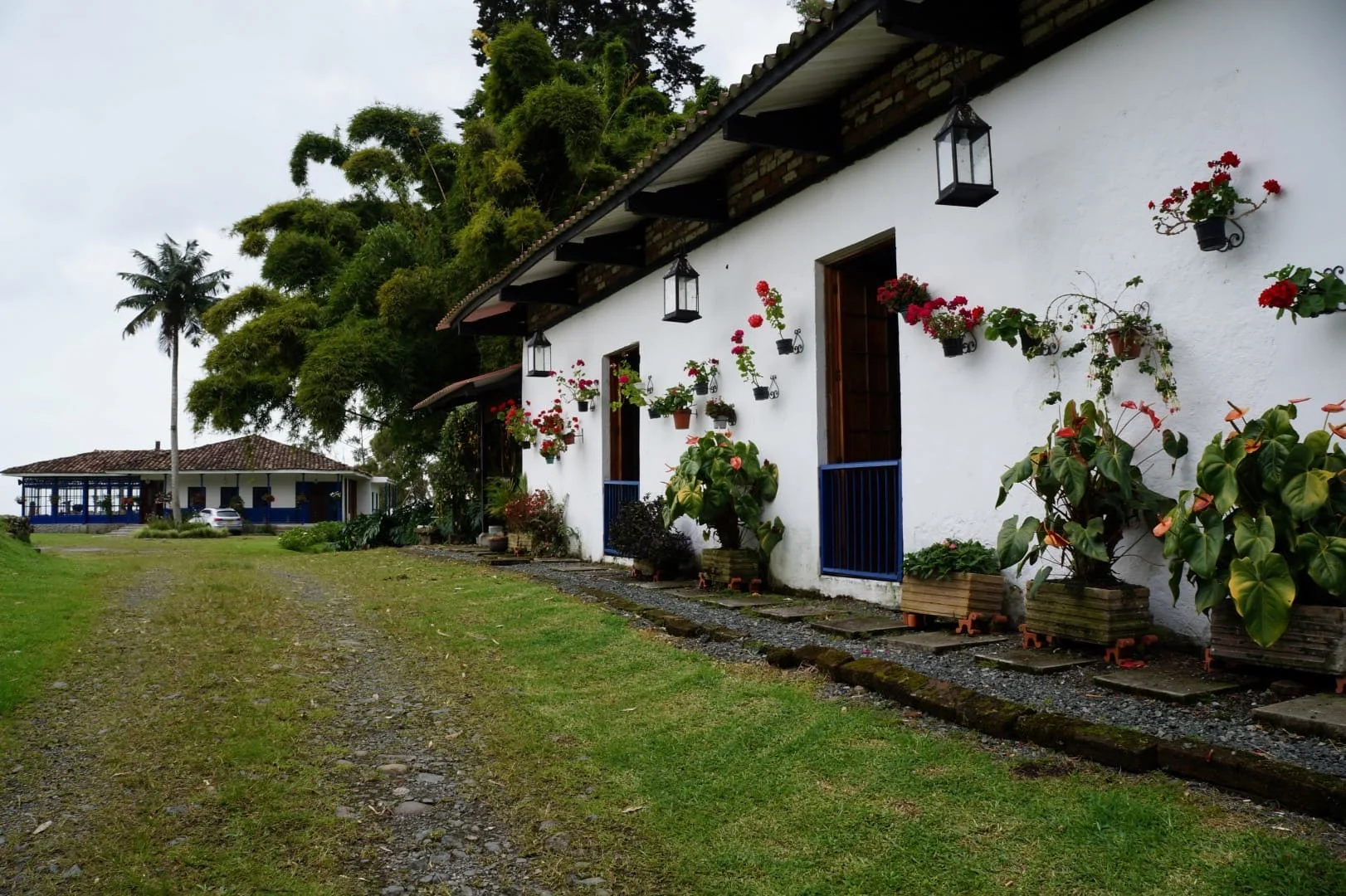 Finca Nubes del Cedral en Pereira